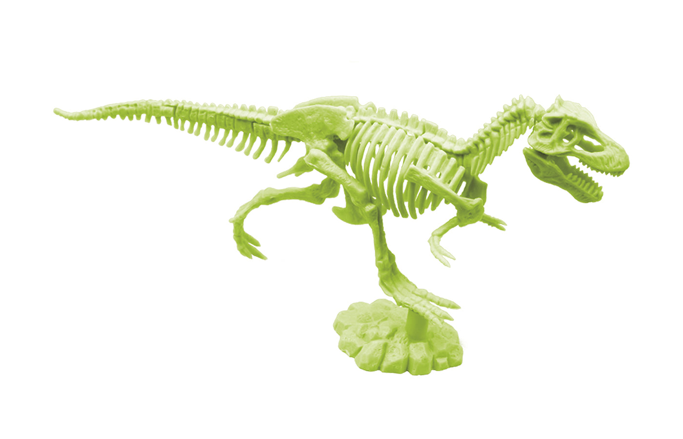 Opgravingsset - glow-in-the-dark dinosaurussen