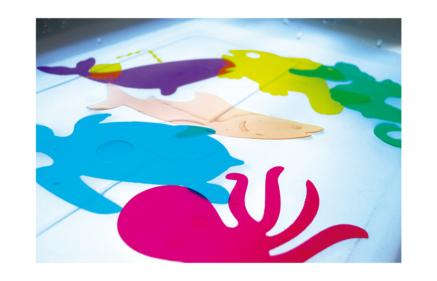 Transparante stencils - onderwater dieren (6)
